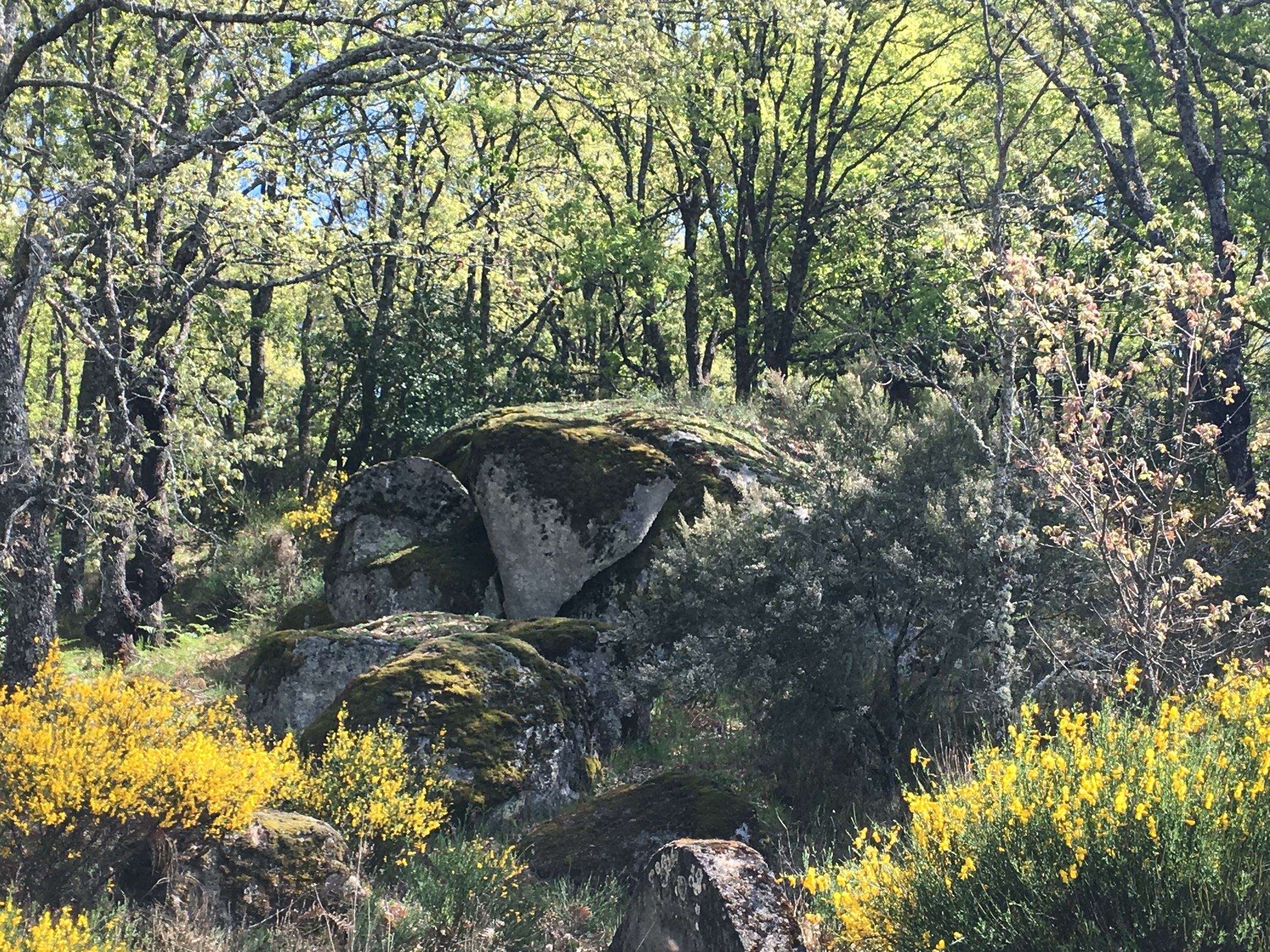 Camping El Burro Blanco