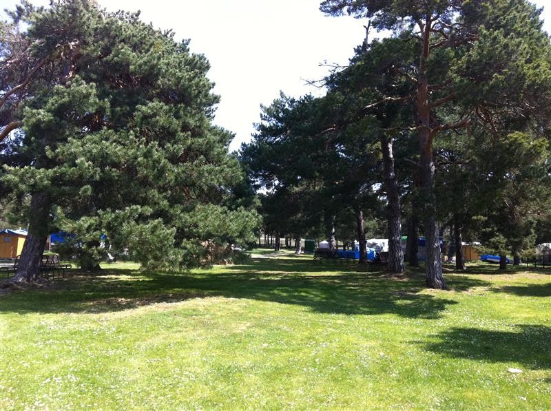 Camping El Concurso