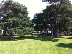 Camping El Concurso