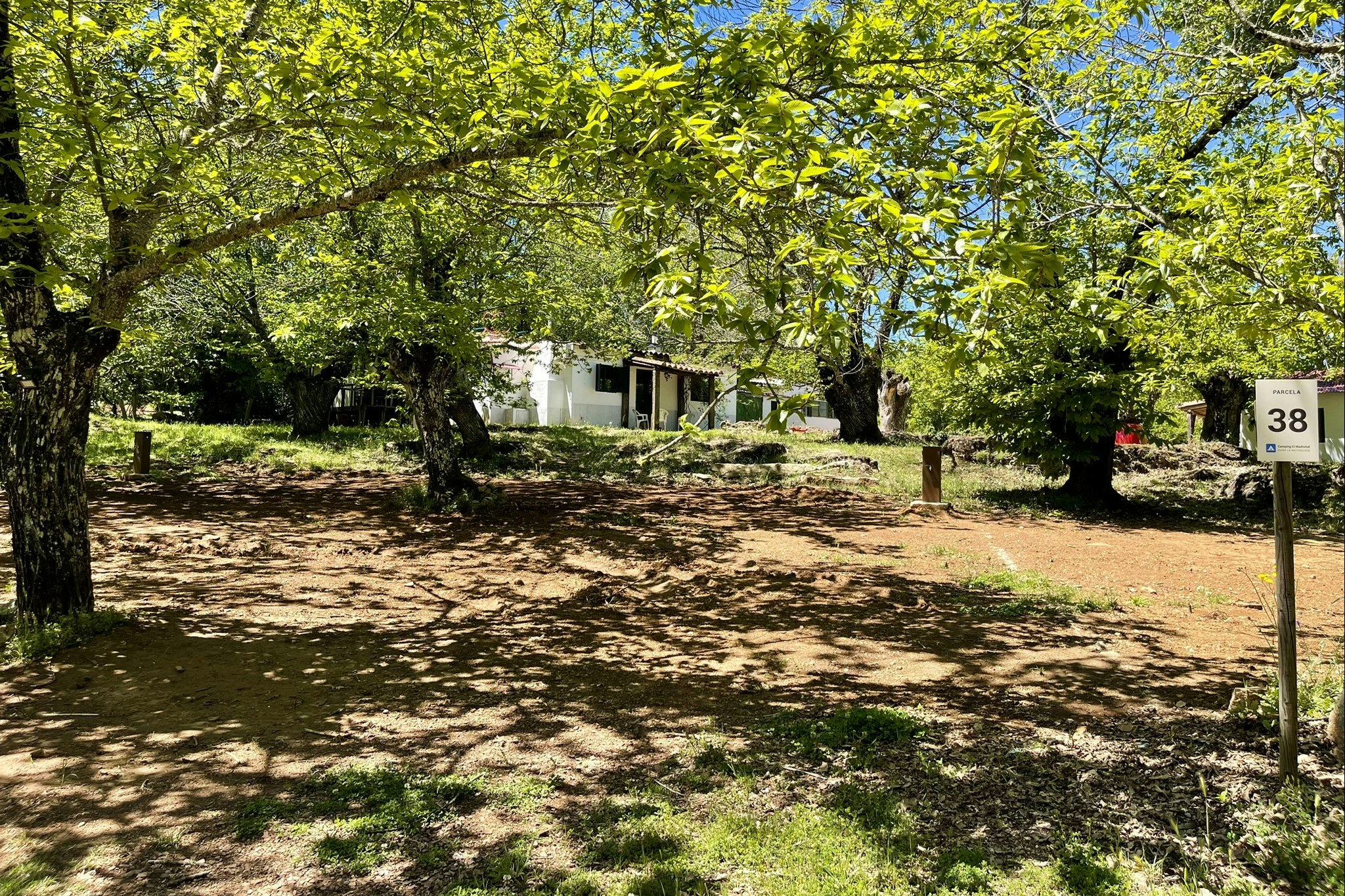 Camping el Madroñal