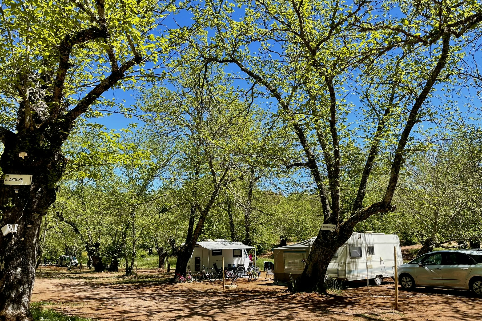 Camping el Madroñal - Standplätze zwischen den Bäumen auf dem Campingplatz