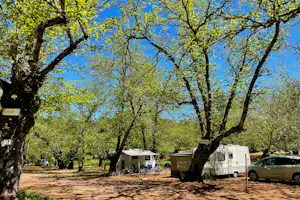Camping el Madroñal - Standplätze zwischen den Bäumen auf dem Campingplatz