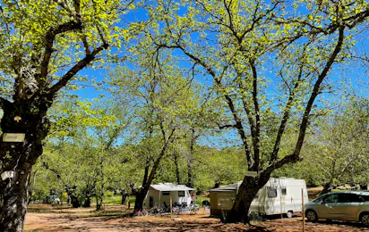 Camping el Madroñal