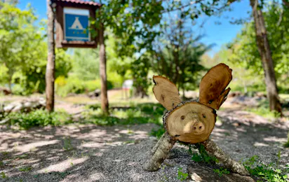 Camping el Madroñal