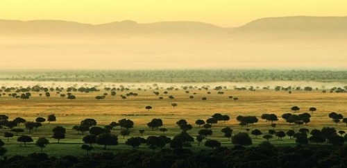 Camping El Mirador de Cabañeros