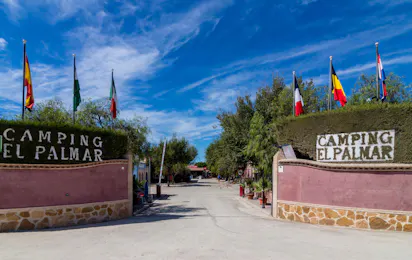 Camping El Palmar