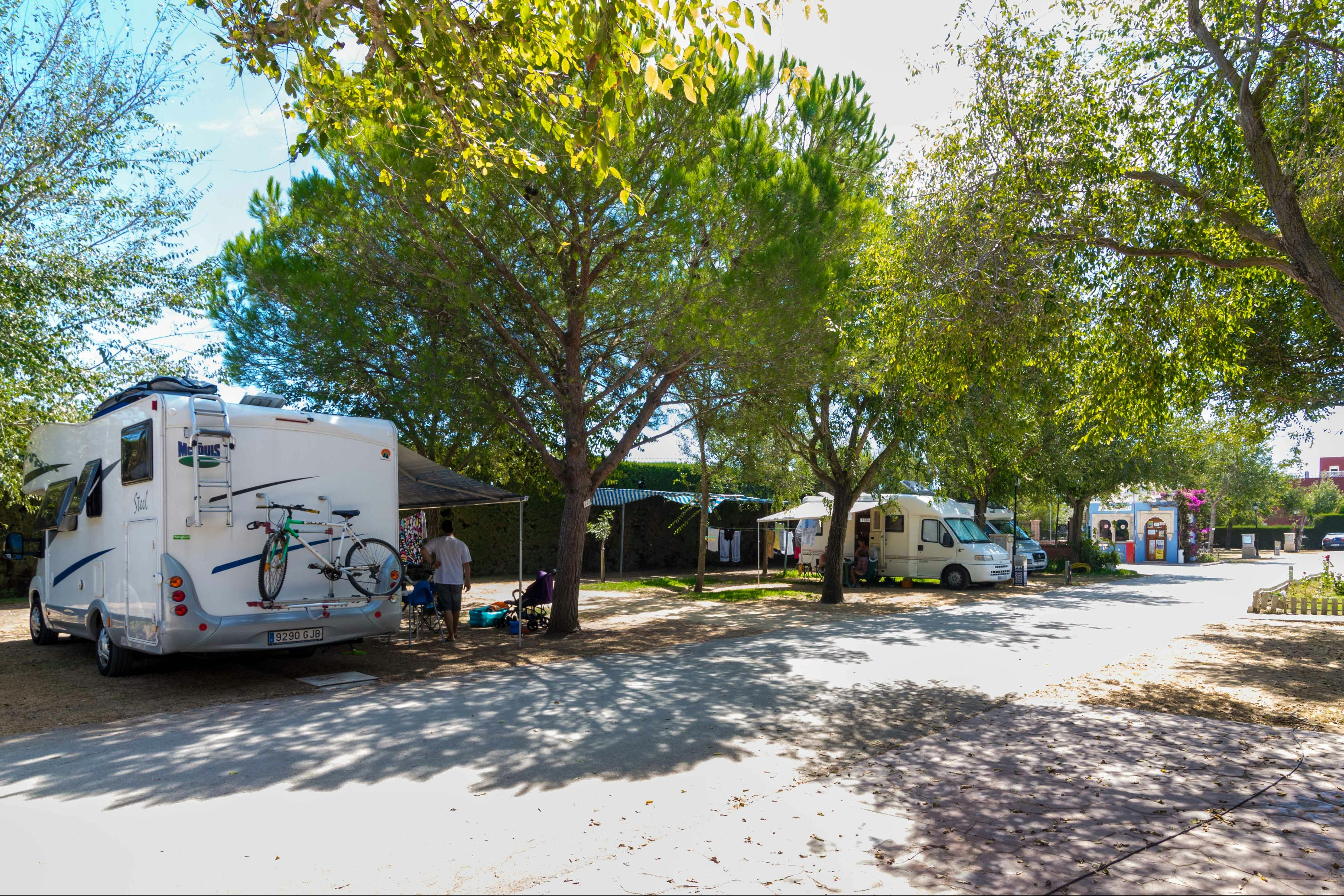 Camping El Palmar - Wohnwagen- und Zeltstellplatz zwischen Bäumen an einer Strasse
