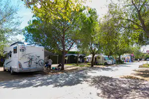 Camping El Palmar - Wohnwagen- und Zeltstellplatz zwischen Bäumen an einer Strasse