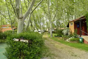 Camping El Pinajarro - Zugang zum Wohnwagen- und Zeltstellplatz vom Campingplatz unter Bäumen