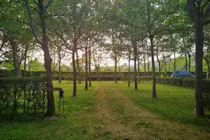 Camping El Pinajarro - Leere Wohnmobil- und Wohnwagenstellplätze im Schatten der Bäume