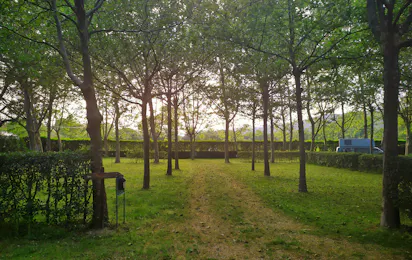 Camping El Pinajarro