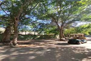 Camping El Pino - Standplätze im Schatten der Bäume