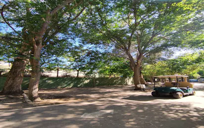 Camping El Pino