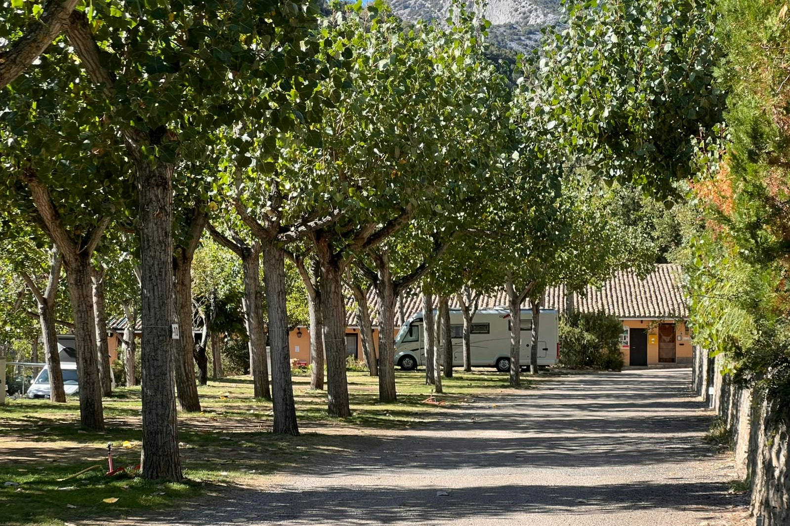 Allee mit Bäumen auf einem Campingplatz, Kiesweg und Stellplätze, im Hintergrund ein Gebäude mit Holzdetails.