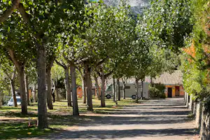 Allee mit Bäumen auf einem Campingplatz, Kiesweg und Stellplätze, im Hintergrund ein Gebäude mit Holzdetails.