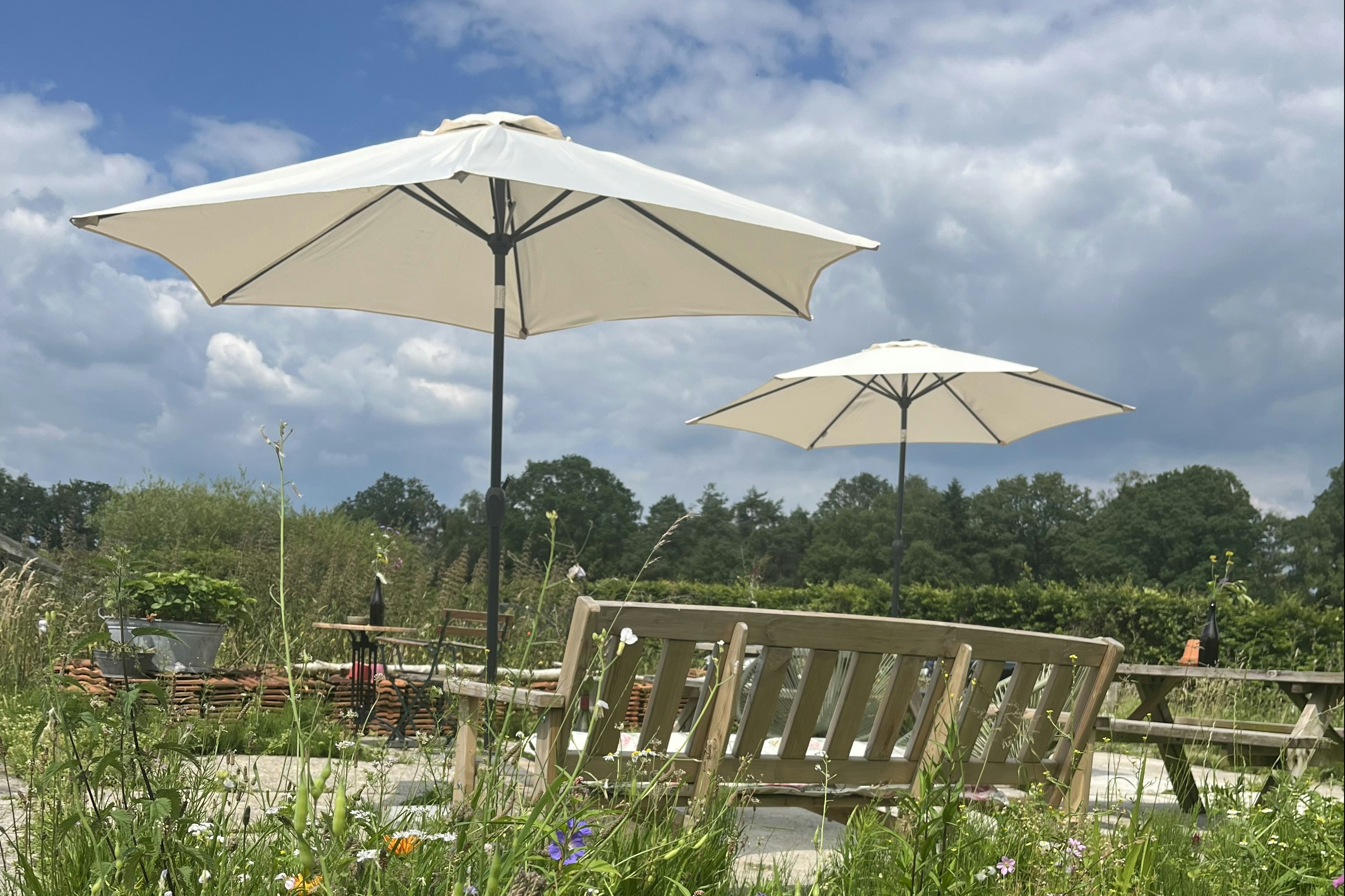 Erve Zonnehoeve - Terrasse mit Sonnenschirmen auf dem Campingplatz