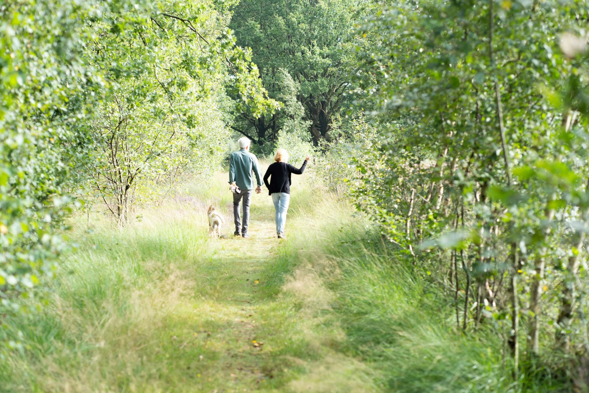 Camping Elperhof - Erholsame Wanderungen in der Umgebung des Campingplatzes