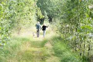 Camping Elperhof - Erholsame Wanderungen in der Umgebung des Campingplatzes