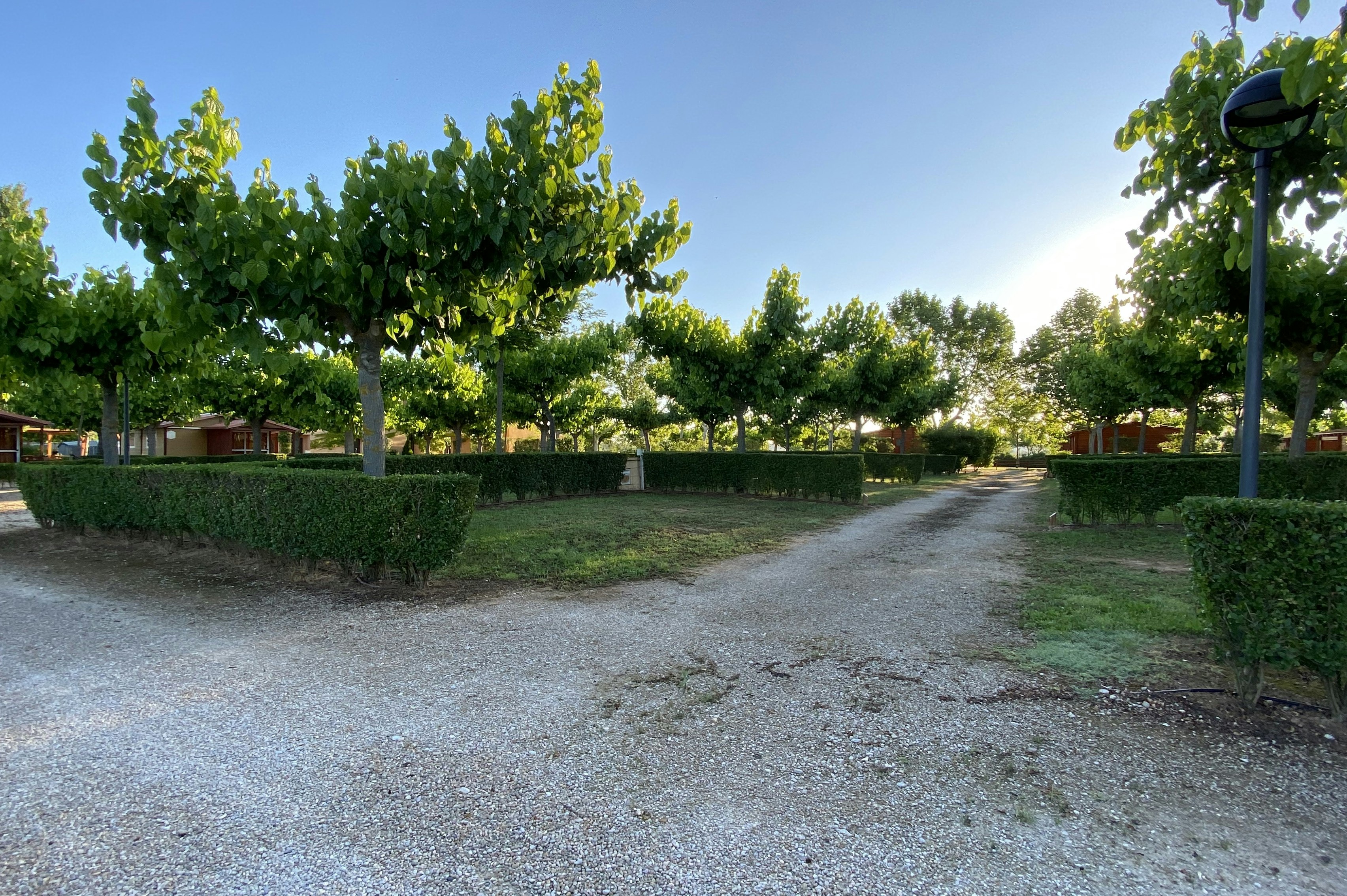 Camping Els Ports - Standplätze im Grünen auf dem Campingplatz