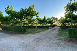 Camping Els Ports - Standplätze im Grünen auf dem Campingplatz