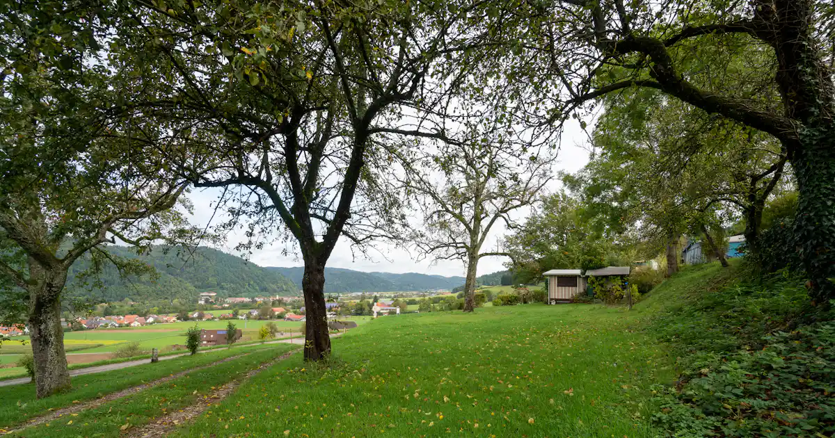 Camping Elztalblick
