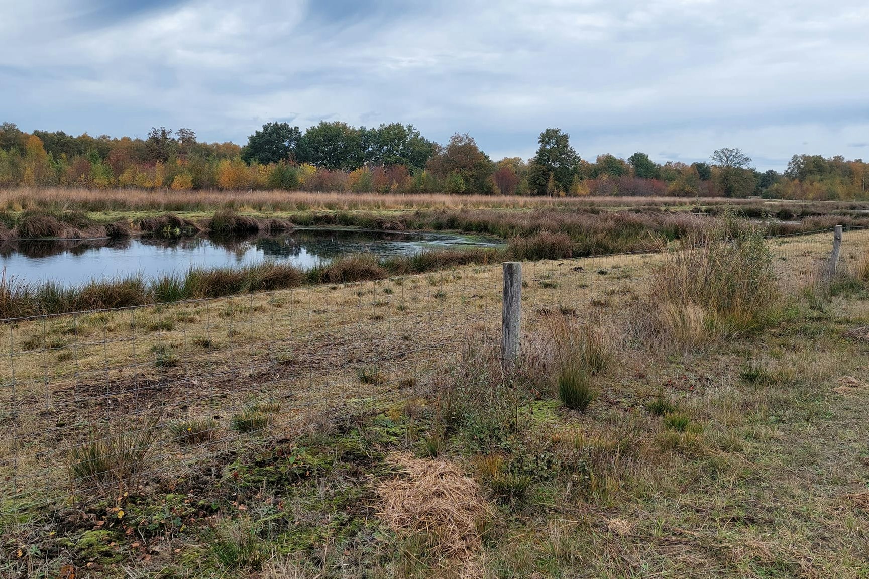 Camping Emmen - Blick auf das Wasser