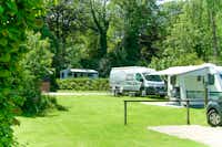 Camping en chaletpark Kuiperberg  -  Stellplatz vom Campingplatz auf grüner Wiese
