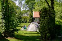 Camping en chaletpark Kuiperberg  -  Zeltplatz vom Campingplatz zwischen Bäumen