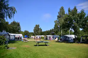 Campingplatz mit mehreren Zelten und Wohnwagen auf grünem Rasen, Tisch und Bänke zwischen den Stellplätzen, Bäume im Hintergrund.