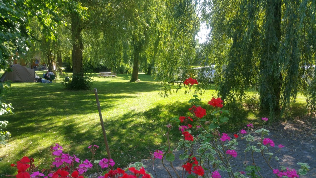 Camping en kanoverhuur 't Ol Gat