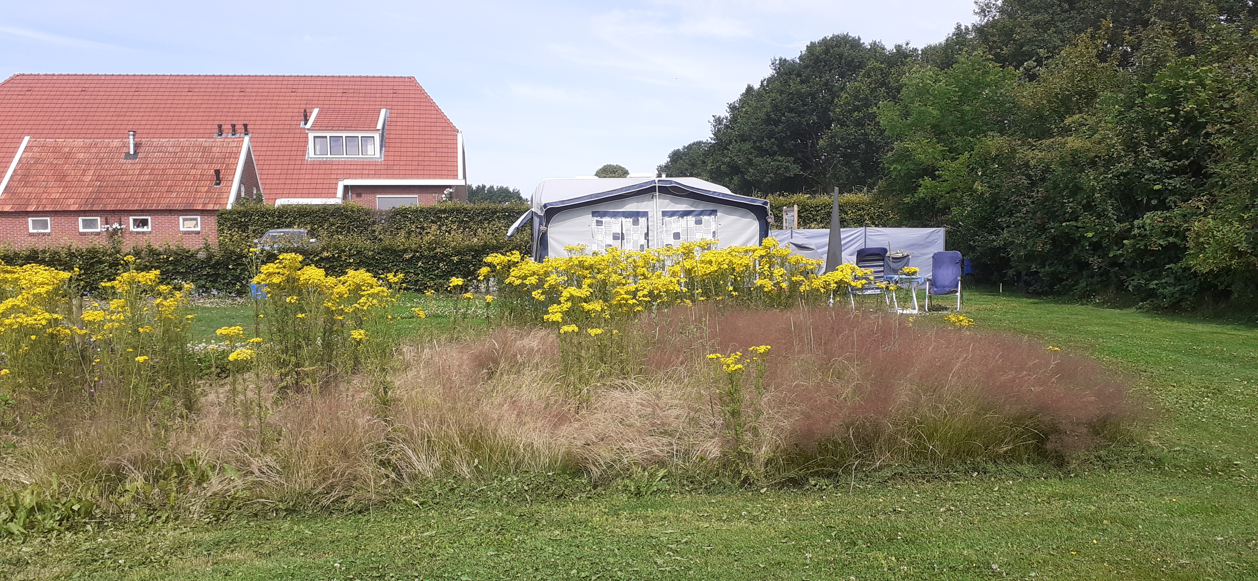 Camping en Vakantiewoning Holmhoeve