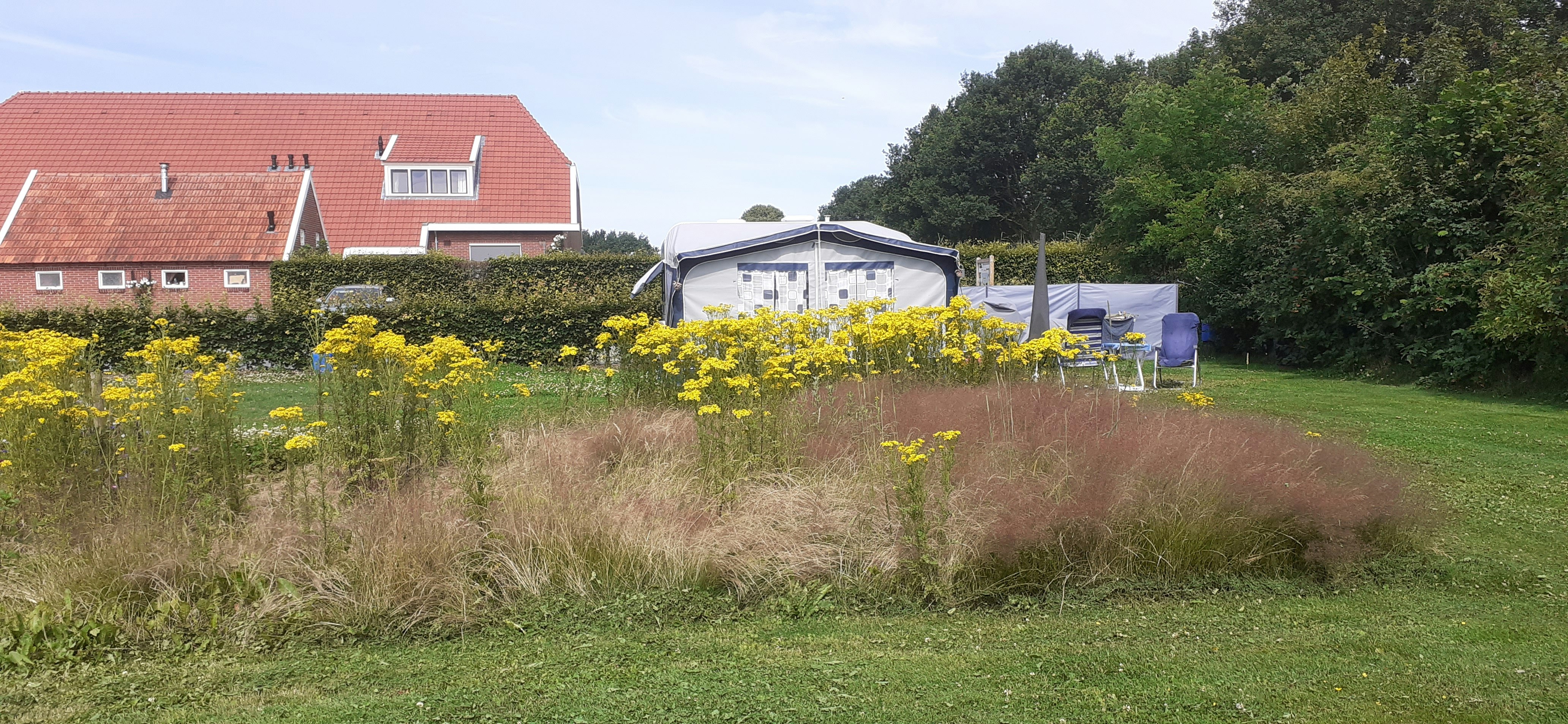 Camping en Vakantiewoning Holmhoeve