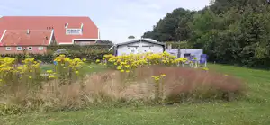 Wohnwagen auf einem Campingplatz, im Vordergrund Wiese mit gelben Blumen, dahinter Gebäude und Bäume am Rand.
