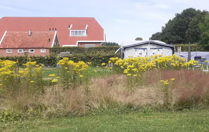 Camping en Vakantiewoning Holmhoeve