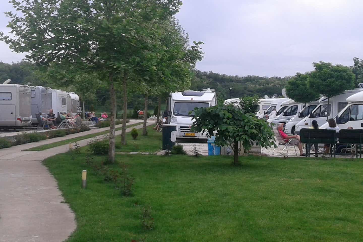 Camping Enigma