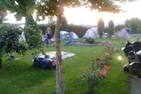 Camping Enigma - Zeltwiese mit Beet auf dem Campingplatz