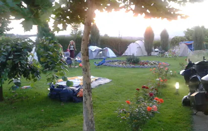 Camping Enigma