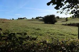 Grüne Hügel und Wiesenlandschaft mit Bäumen und Sträuchern im Vordergrund, Blick über das Gelände.