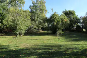 Grünes Campinggrundstück mit Rasenfläche und mehreren Bäumen, im Hintergrund weitere Vegetation unter klarem Himmel.