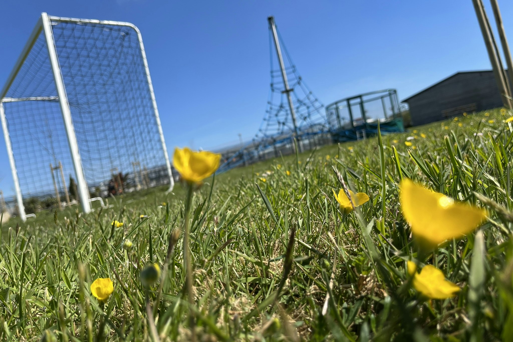 Camping Lizoé  Camping Entre Pierres et Mer - Sportplatz auf dem Campingplatz