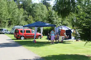 Camping Erbenwald - Stellplätze im Schatten unter Bäumen auf dem Campingplatz