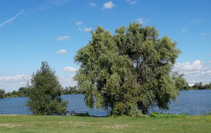 Camping Erfurt am See