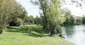 Grüner Campingplatz am Fluss mit Rasen, Bäumen und einem Steg am Ufer.