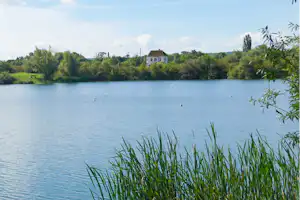 Ruhiger See mit Schilf am Ufer, im Hintergrund Häuser und Bäume unter klarem Himmel.