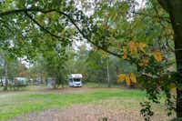 Camping Erholungsgebiet Springhorstsee - Standplatz - 2.jpeg