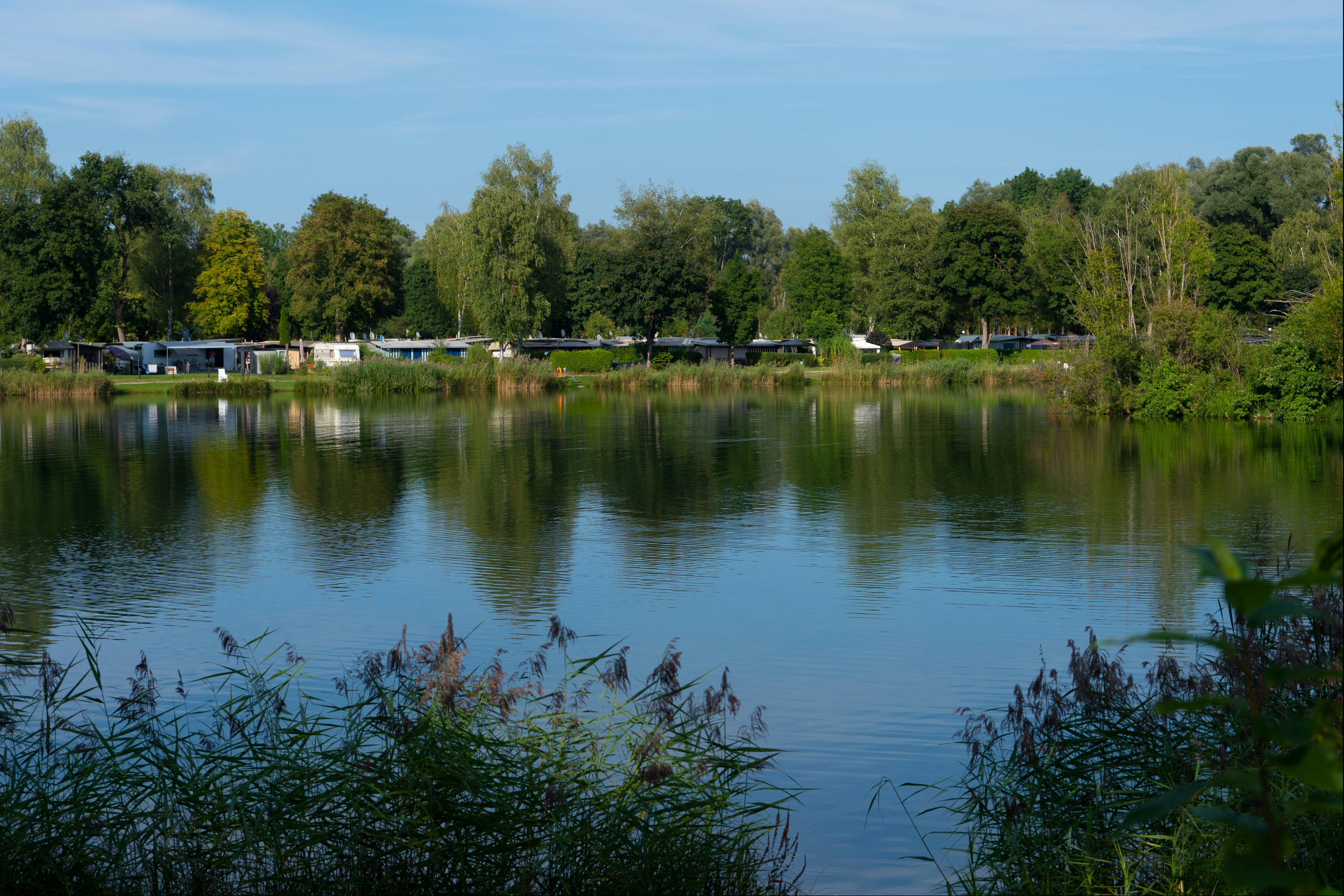 Campingplatz Erlensee  Camping Erlensee - Blick auf den See