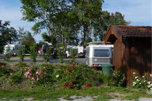 Campingplatz Erlensee Camping Erlensee - Stellplätze auf dem Campingplatz