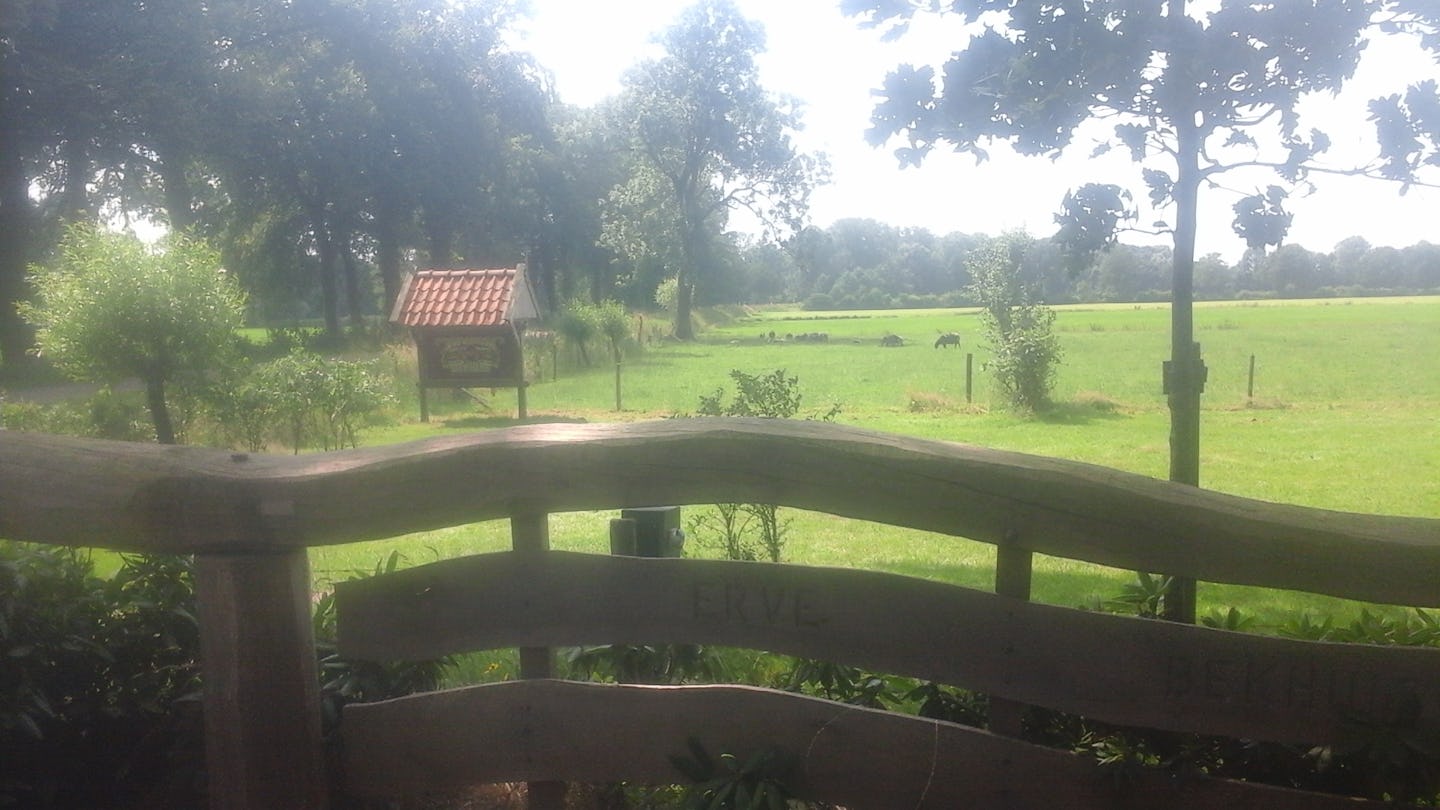 Camping Erve-Bekhuis