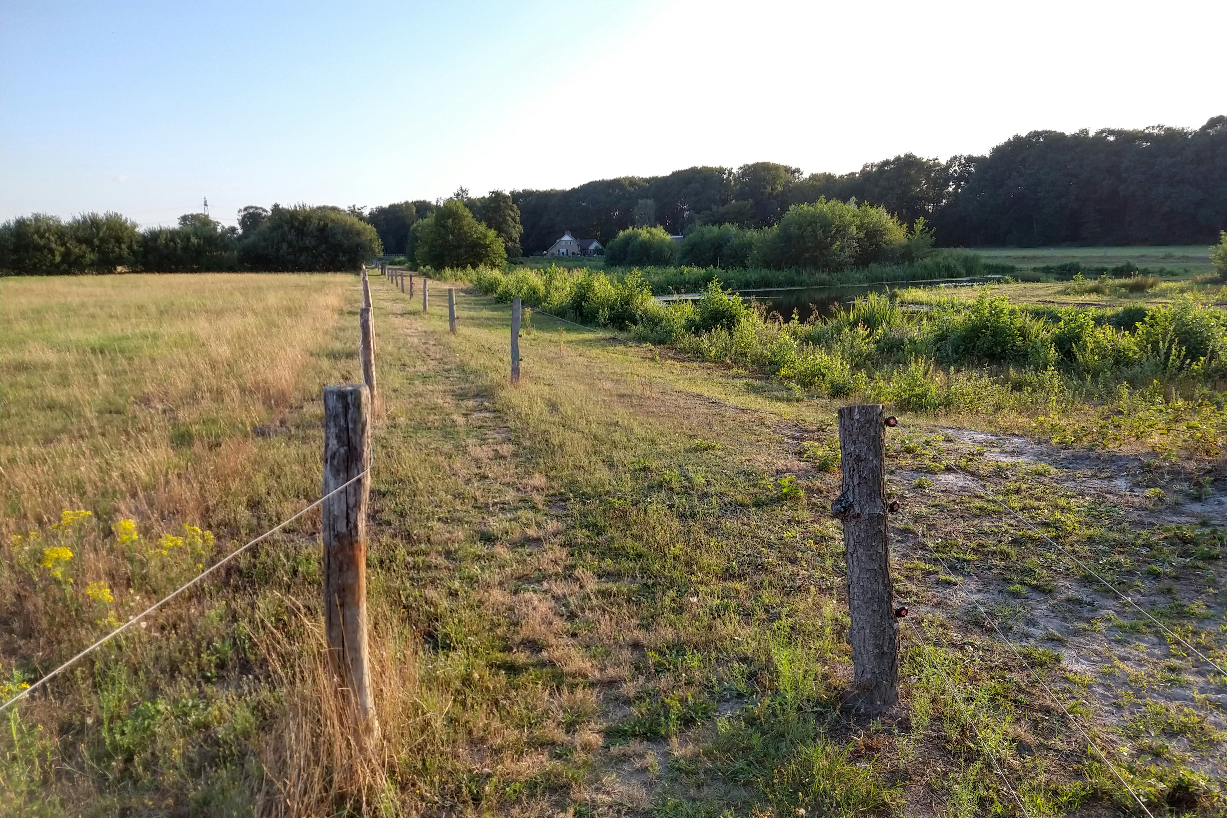 Camping Erve Henderikshoeve - Wanderwege in der Umgebung des Campingplatzes