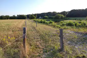 Camping Erve Henderikshoeve - Wanderwege in der Umgebung des Campingplatzes